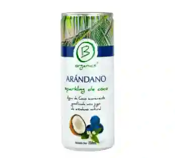 Sparkling De Coco Arándano 250 Ml