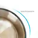 Tazón Plato Comedero Para Mascotas Bicolor Antideslizante 22 Cm (azul Verde)