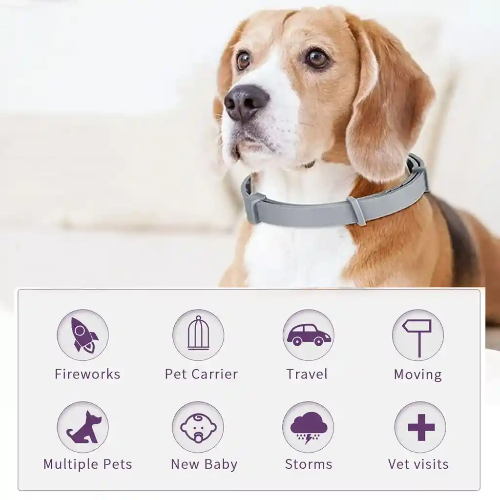 Calming Collar Anti Ansiedad Para Perros