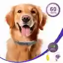 Calming Collar Anti Ansiedad Para Perros