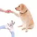 Tijera Cortauñas Alicate Curvo Mascotas Pequeñas Y Medianas Perro Y Gato (rojo)