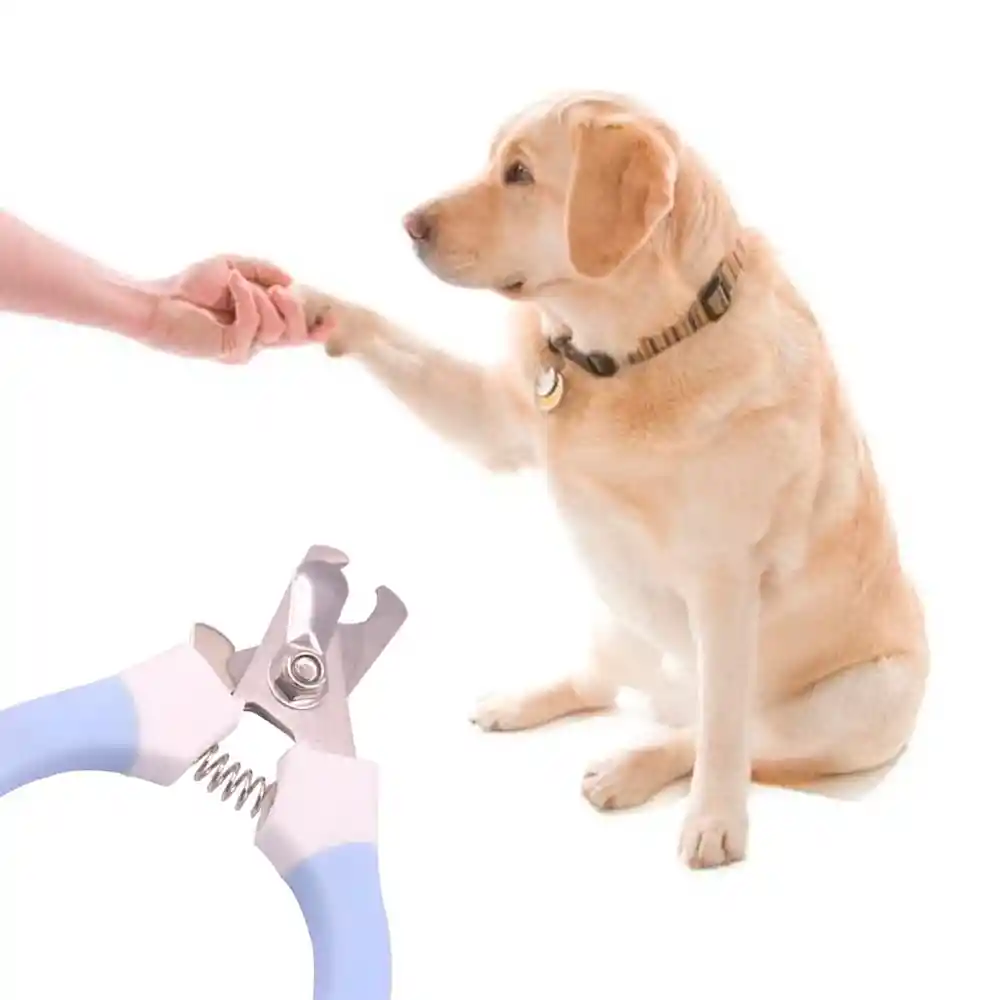 Tijera Cortauñas Alicate Curvo Mascotas Pequeñas Y Medianas Perro Y Gato (turquesa)