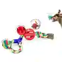 Juguete Pelota Dental Con Cuerda De Agarre Para Perros (verde)