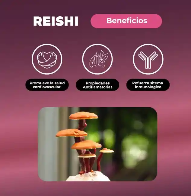 Reishi En Gotas 30 Ml