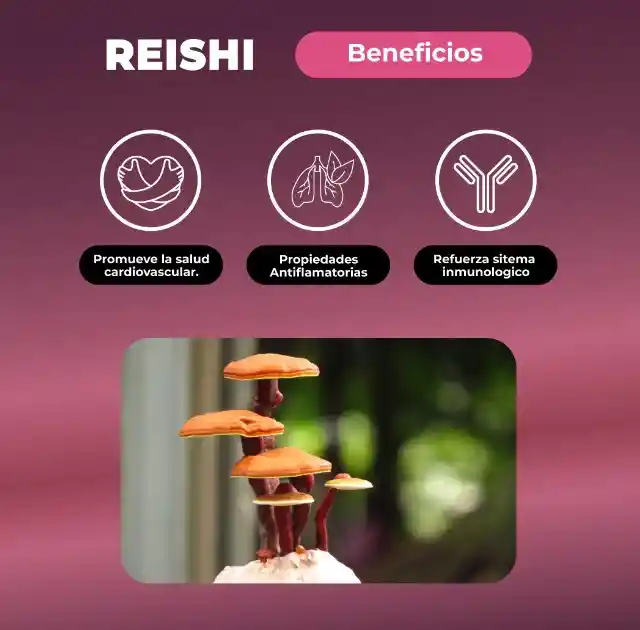 Gomitas Reishi Hongo 60 Unidades