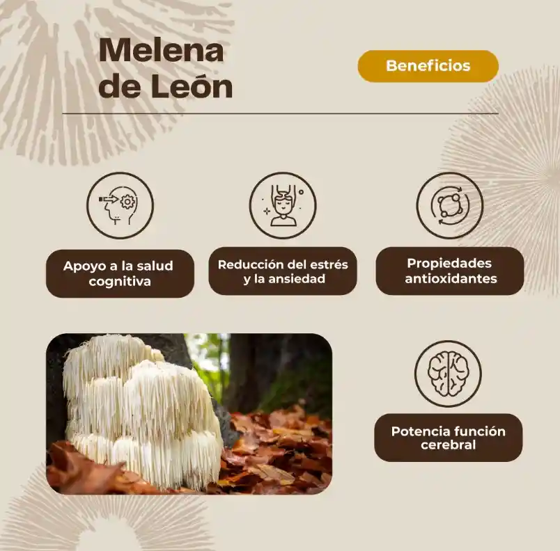 Hongo Melena De León + Vitamina C 60 Gomitas