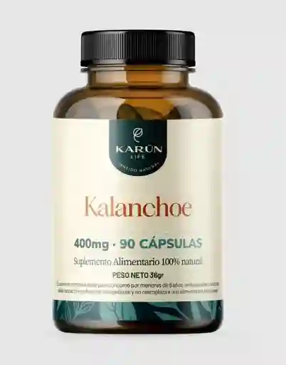 Kalanchoe 400 Mg 90 Capsulas