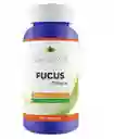 Fucus 90 Capsulas 500 Mg