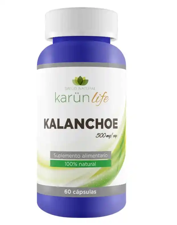 Kalanchoe 60 Capsulas 500 Mg