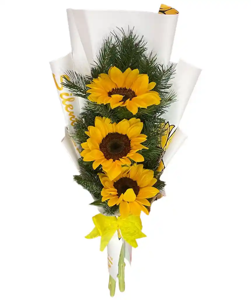 Trio De Girasoles