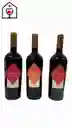 Pack 3 Vinos Terramater Reserva