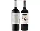Pack Ensamblajes Santa Ema 60 40 + Selección Enologica Morandé