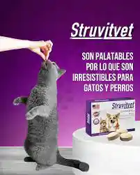 Struvitvet Vitanimal X 10 Comp