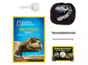 Set De Juego National Geographic Dino Fossil