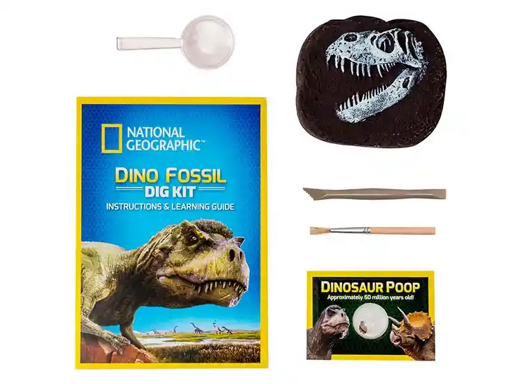 Set De Juego National Geographic Dino Fossil