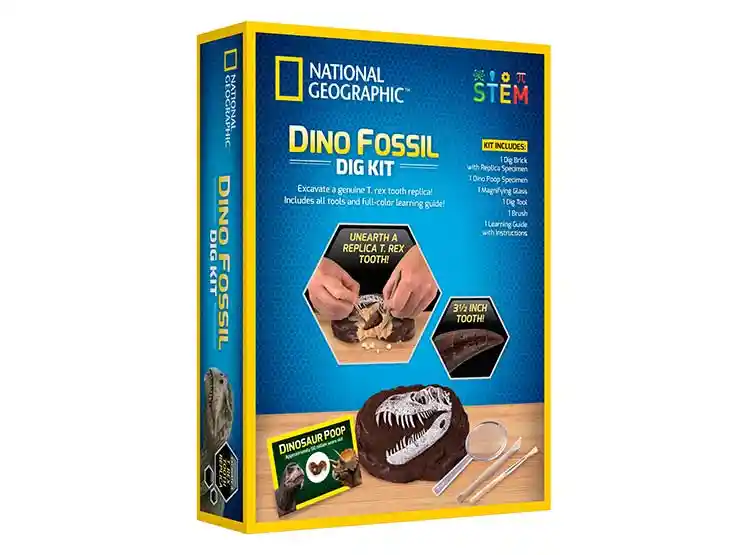 Set De Juego National Geographic Dino Fossil