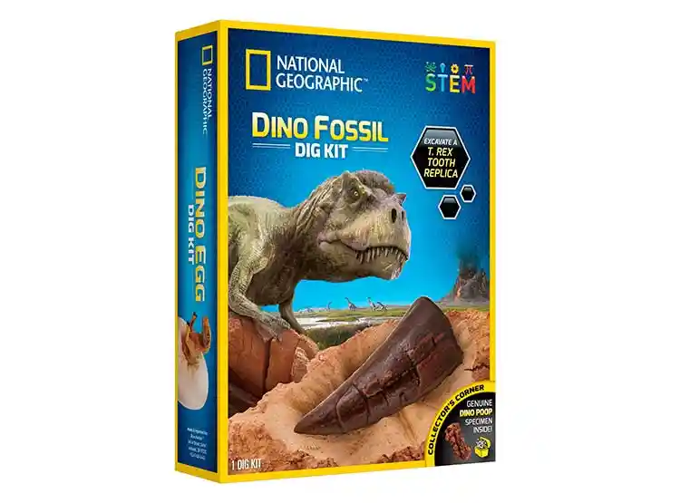 Set De Juego National Geographic Dino Fossil