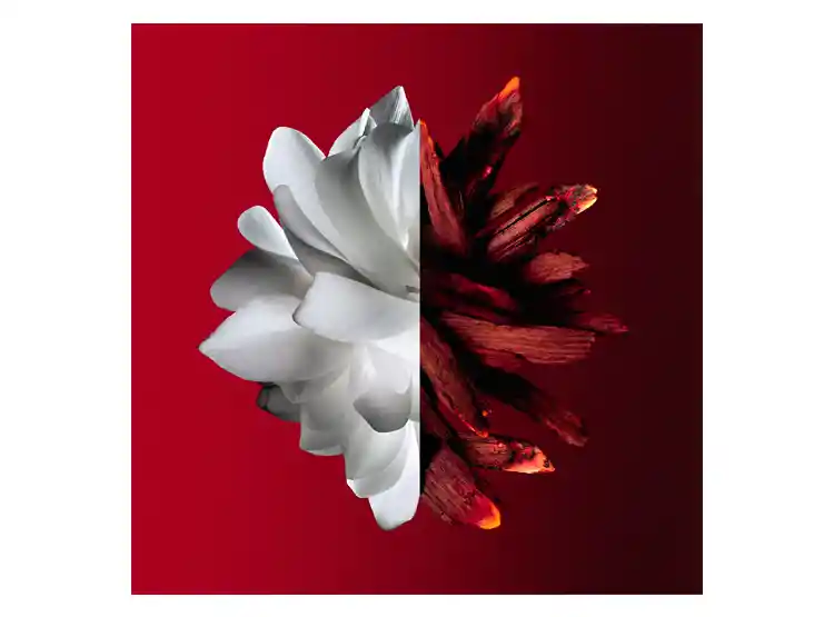 Perfume Givenchy L'interdit Rouge Ultimate Mujer Edp 35 Ml