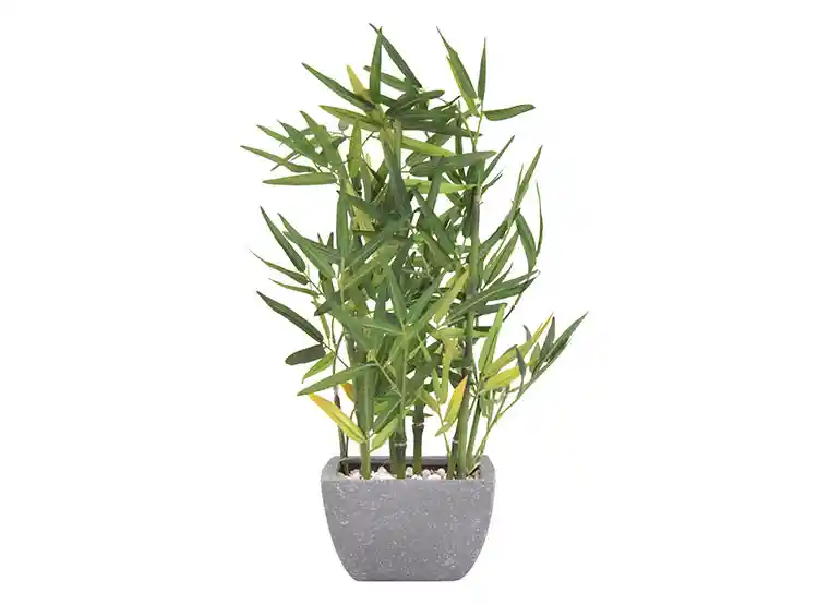 Planta Decorativa Ripley Home Bambu 46 Cm Con Base