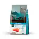 Bravery Kitten Alimento Gato Cachorro 2 Kg Salmon