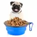 Plato Plegable De Paseo Comedero Portatil Para Mascotas 13 Cm (rojo)