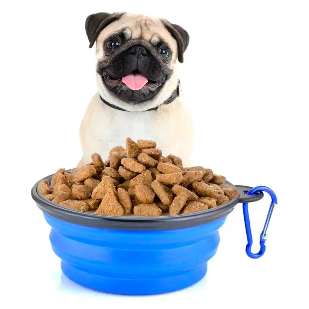 Plato Plegable De Paseo Comedero Portatil Para Mascotas 13 Cm (rojo)