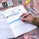 Libro Para Caligrafía Y Lettering