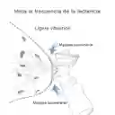 Extractor De Leche Eléctrico