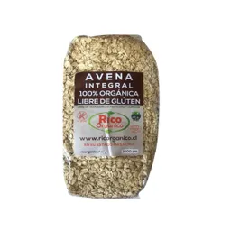 Ricorgánico Avena Orgánica Integral Sin Gluten 1 Kg