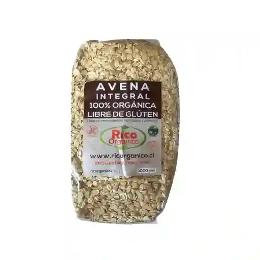 Ricorgánico Avena Orgánica Integral Sin Gluten 1 Kg