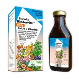 Floradix Kindervital 250 Ml Salus Flora - An166