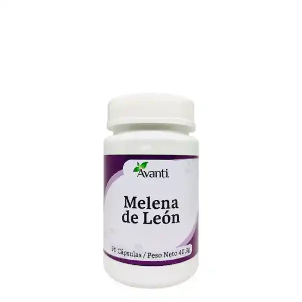 Melena De Leon 90 Cap Avanti - An367