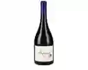 Syrah Amayna Garces Silva (750cc)