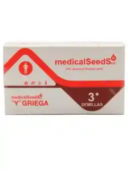 Y Griega Medical Seeds X 3