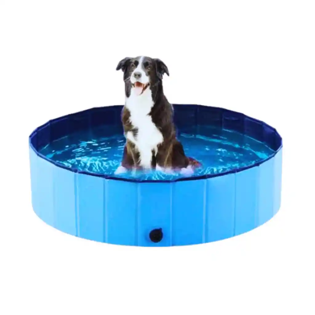 Piscina Plegable Para Perros (20 X 80 Cm)