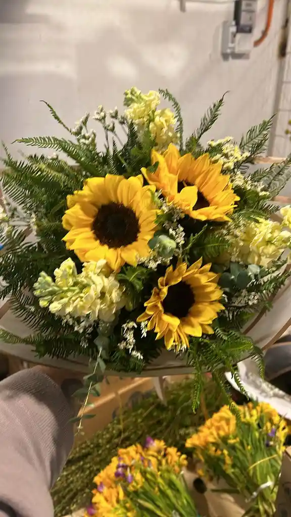 Girasoles Con Alelies