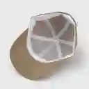 Gorra 6 Paneles Algodón Liso