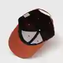 Gorra 6 Paneles Algodón Liso