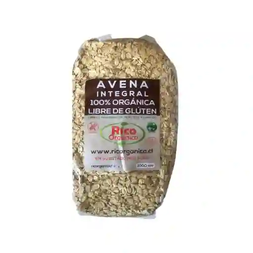 Avena Integral Orgánica Sin Gluten (1kg) Rico Orgánico