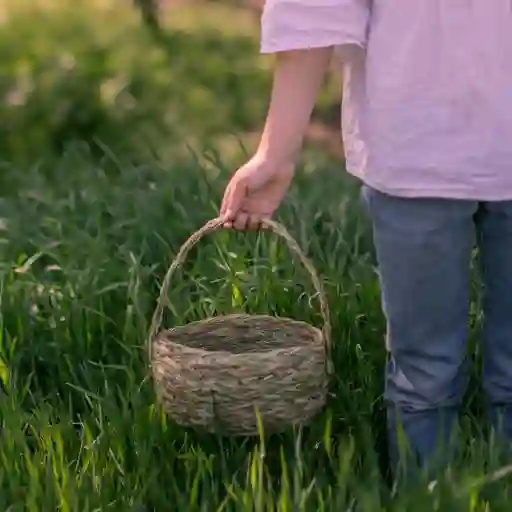 Cesta Frutos Del Bosque