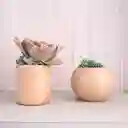 Macetero Vaso