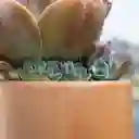 Macetero Vaso