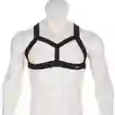 Sutien Sunga Lenceria Erotica Masculina Ropa Interior