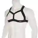 Sutien Sunga Lenceria Erotica Masculina Ropa Interior