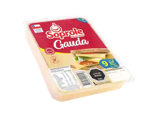 Queso Gauda Laminado Soprole 150gr