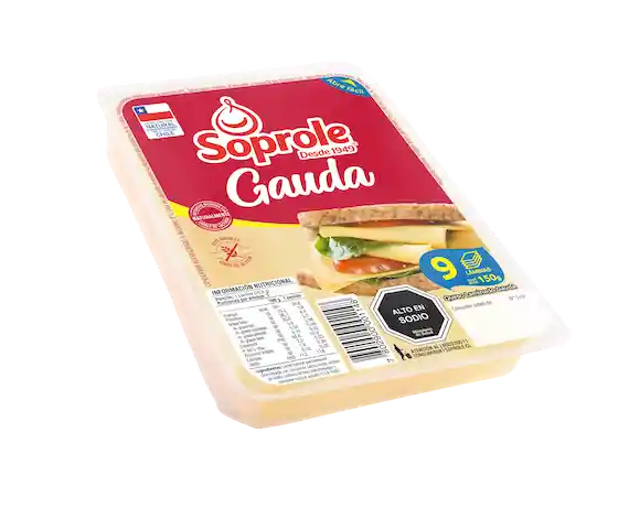 Queso Gauda Laminado Soprole 150gr