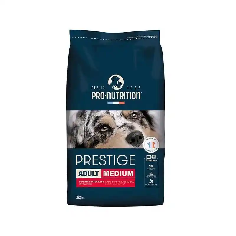 Prestige Adult Medium