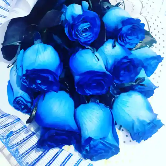 Ramo Premium De 9 Rosas Azules Ecuatorianas