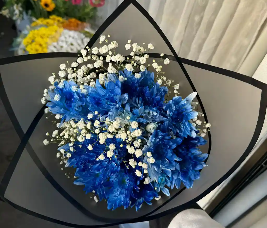 Ramo Maules Azul E Ilusiones