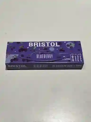 Papel + Tips Bristol Blueberry